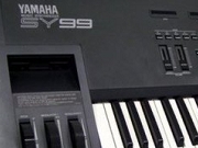 sy99.jpg